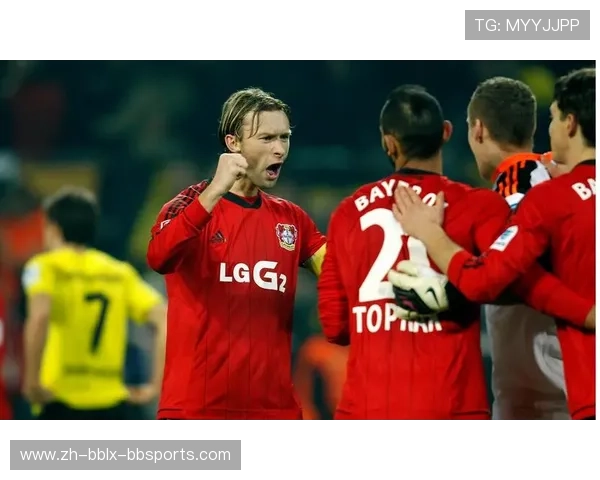 德甲球队图文解说资料图片合集