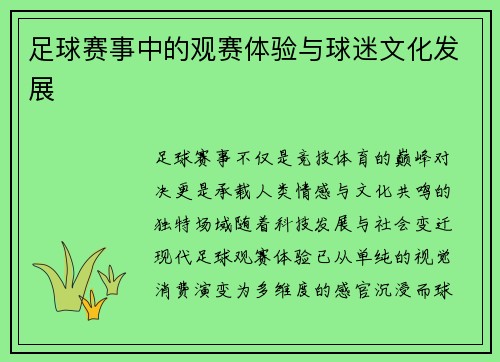 足球赛事中的观赛体验与球迷文化发展